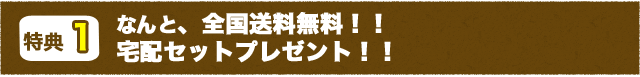 なんと、全国送料無料！！宅配セットプレゼント！！